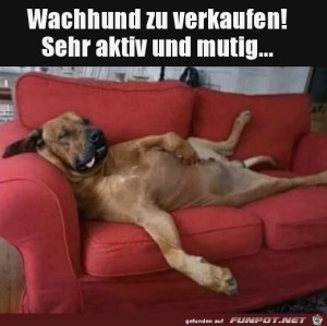 Sehr-aktiv-und-mutig.jpg auf www.funpot.net