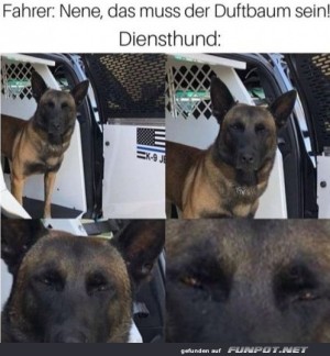 Dieser-Blick.jpg auf www.funpot.net