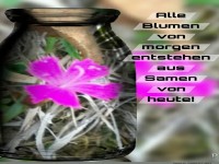 alle blumen von morgen