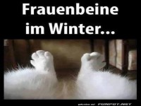 Winterbeine auf Kuschelkurs!