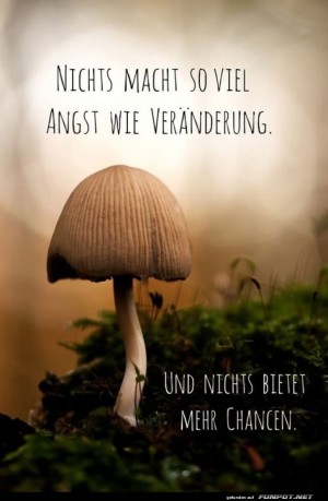 Pilzwachstum:-Ein-Mutanfall-im-Moos!.jpg auf www.funpot.net