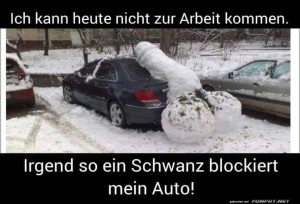 fun-Bild: Auto blockiert