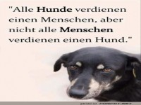 Hunde suchen Mensch, Bedingungen variieren!