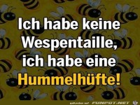 Hummelh�fte