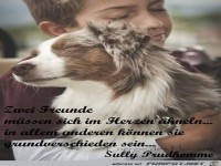 zwei Freunde