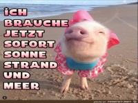 Brauche sofort Sonne