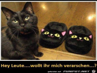 Das kann doch nicht wahr sein