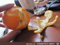 Orangen