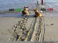 Wir wollen nicht ins Wasser