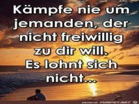 K�mpfe nie um jemanden der nicht......