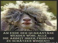Nach der Quarant�ne ohne Friseur
