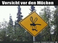 Vorsicht vor den Riesen-Mücken