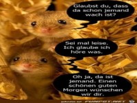 Sch�nen guten Morgen