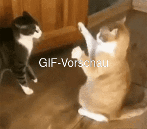 Katze fällt um