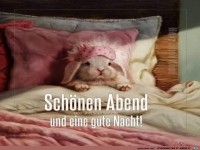 gut Nacht