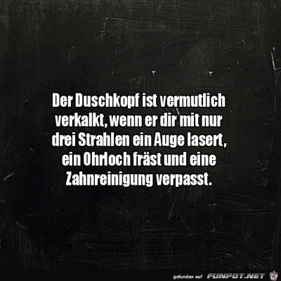 Verkalkter-Duschkopf.jpg von Henry