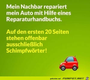 Viele-Schimpfwörter-im-Handbuch.jpg auf www.funpot.net