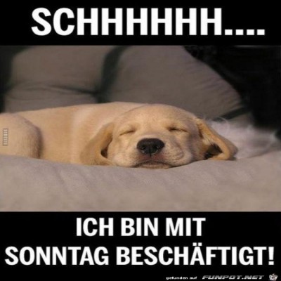 Beschaeftigt.jpg von Keule56