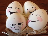 Eier