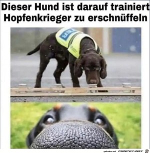 Er-hat-dich-erschnffelt.jpg auf www.funpot.net