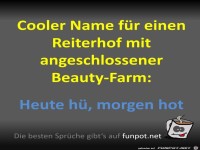 Cooler Name
