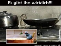 Die Realit�t