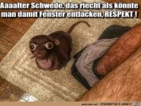 Das riecht ja �bel