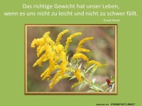 Das richtige Gewicht