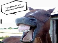 Pferdelachen der Extraklasse!