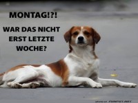 Wenn der Montag pl�tzlich wieder auftaucht!