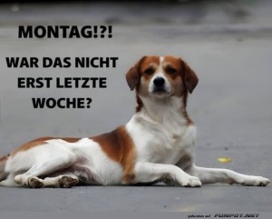 fun-Bild: Wenn der Montag pl&ouml;tzlich wieder auftaucht!