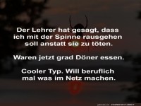 Spinnenfreund trifft Netzwerker