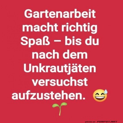Gartenarbeit:-Der-heimliche-Sport.jpg von Nele68