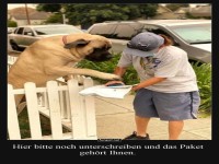 Paketlieferant mit Vier-Pfoten-Unterschrift