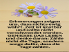 weiter