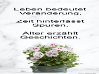 Leben bedeutet