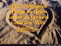 Die wichtigsten Dinge