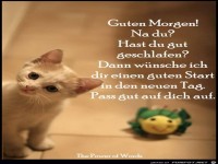 Guten Morgen Hast du gut geschlafen