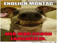 Endlich Montag