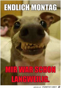 Endlich-Montag.jpg auf www.funpot.net