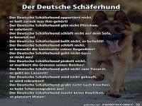der deutsche Schferhund.......