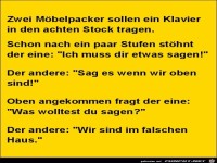 zwei Mbelpacker