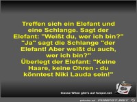 Treffen sich ein Elefant und eine Schlange