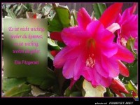 Es ist nicht wichtig