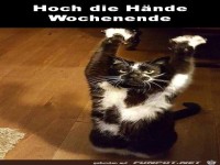 Hoch die H�nde