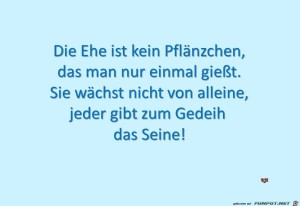 die-ehe-ist-kein-pfaenzchen.jpg auf www.funpot.net