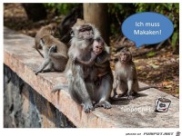 sagt das Makaken-�ffchen zur Mama