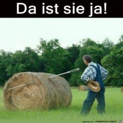 Die-Stecknadel-im-Heu.jpg von SauLustig