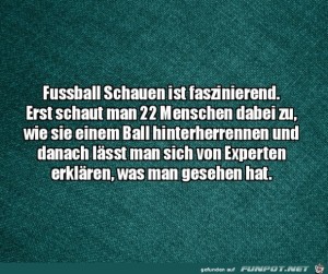 Fuball-ist-schon-faszinierend.jpg auf www.funpot.net