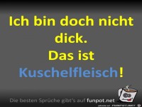 Nicht dick